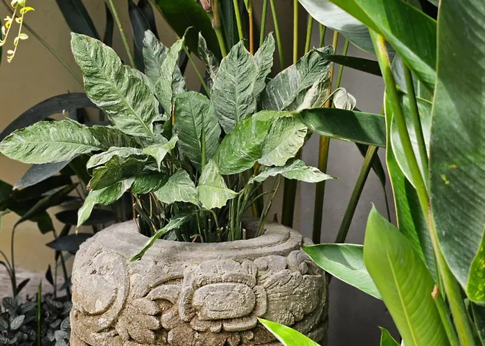 Wasabi Hotel Canggu
