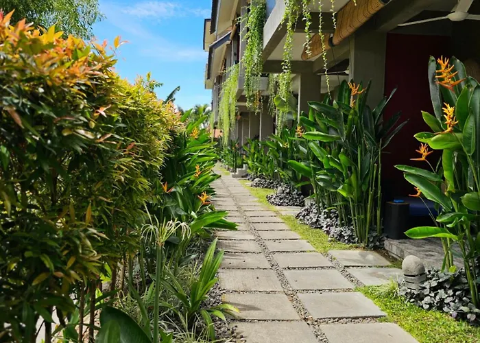 Wasabi Canggu