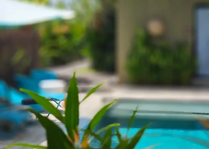 Wasabi 3* Canggu